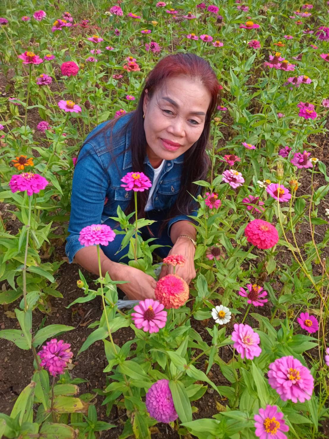Bunga profile photo