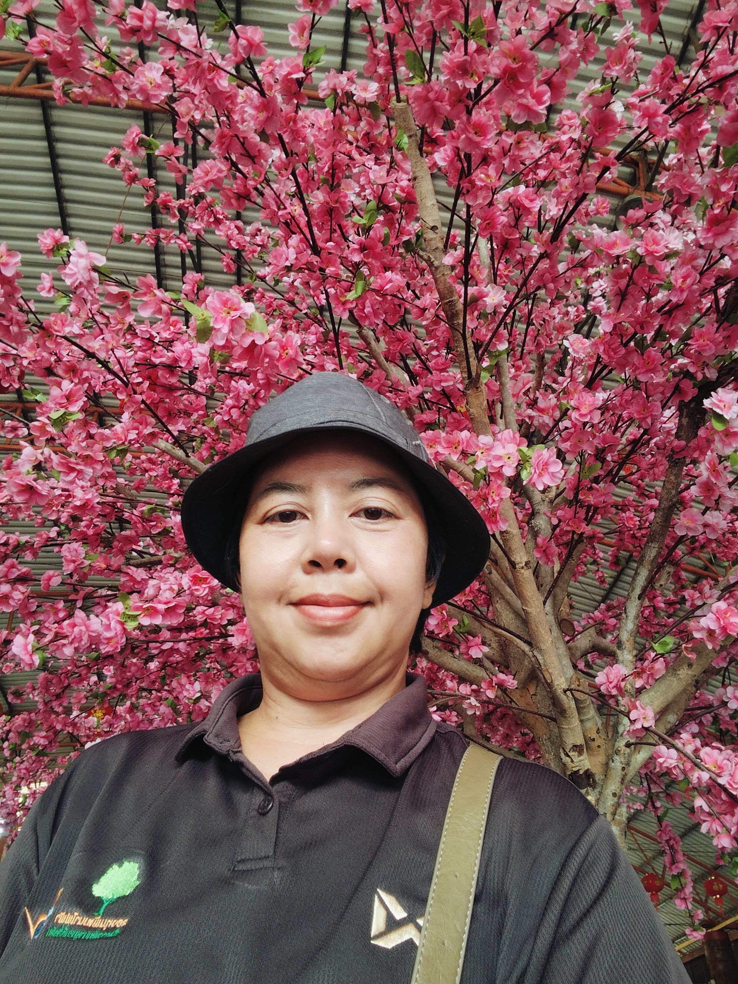 Bom Bom profile photo