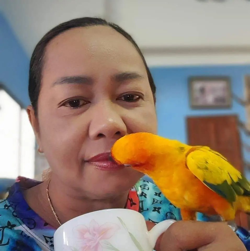 Panisara profile photo