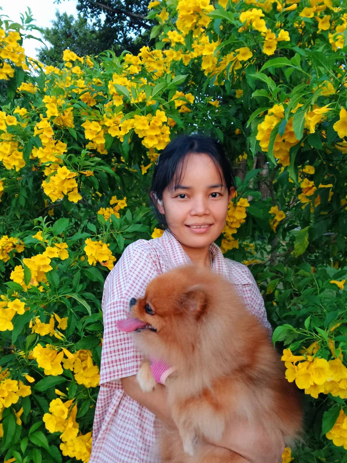 Ava profile photo
