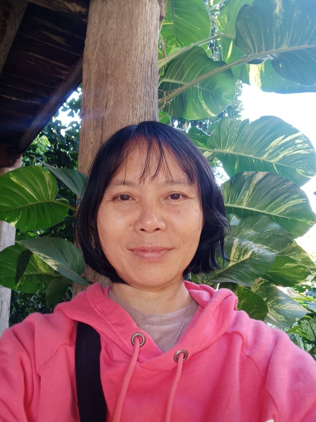 Nam Nuea profile photo
