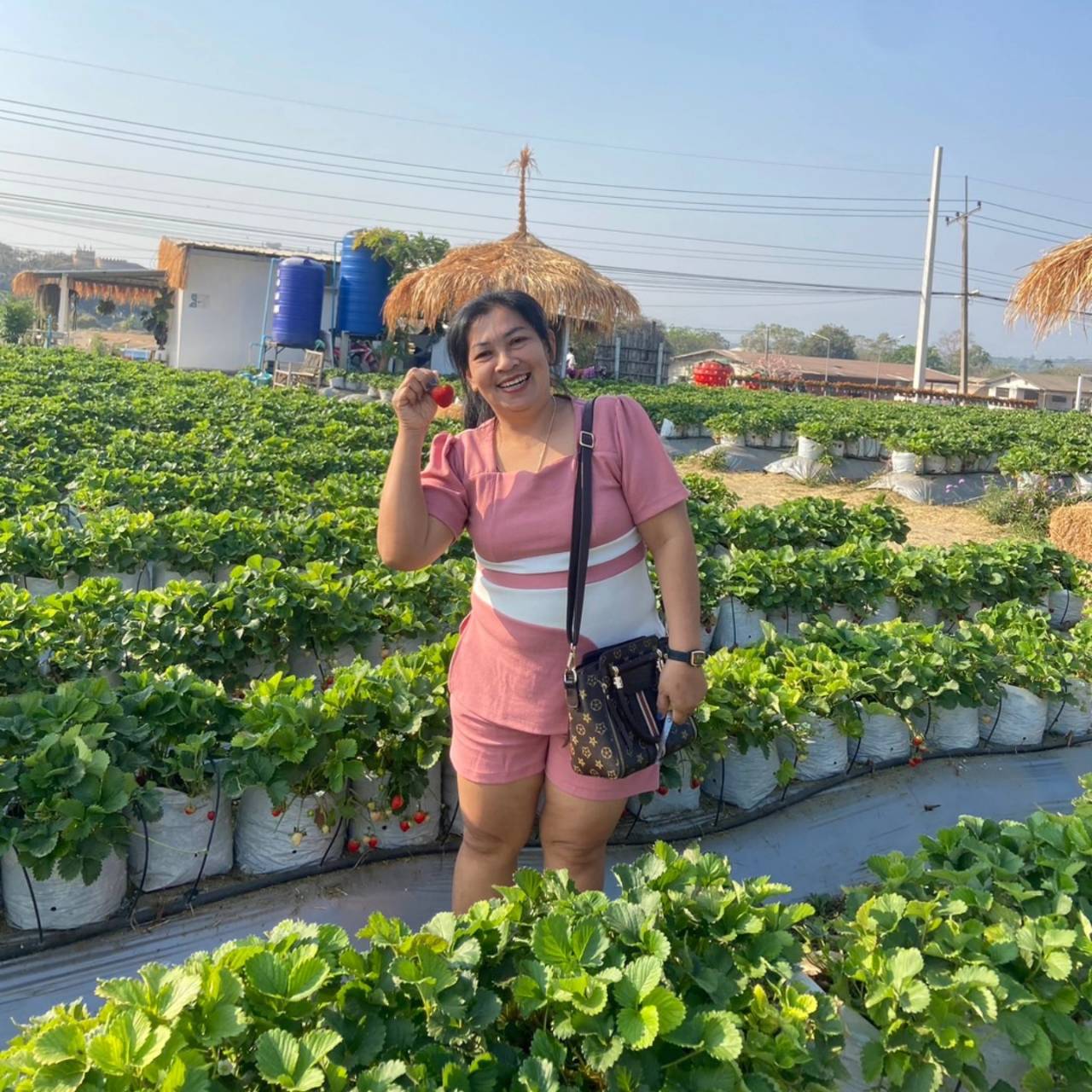 Apatchanok profile photo