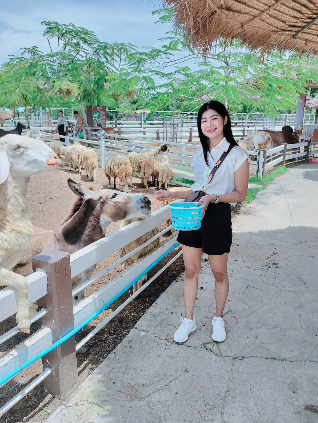 Tik profile photo